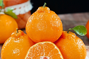 正宗四川不知火丑橘当季新鲜水果4.5-8斤柑子产地直发丑桔子酸甜
