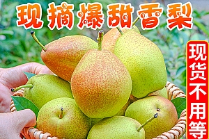 【御品一园】红香酥梨梨子新鲜水果当应季整箱香梨包邮应季