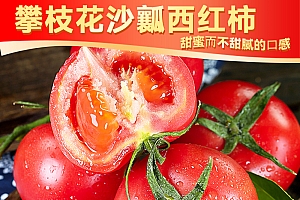 【现摘现发】攀枝花沙瓤西红柿蔬菜水果番茄新鲜水果西红柿5斤