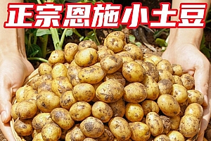 恩施小土豆自种美味马铃薯黄心富硒土豆自种农家生态健康3斤5斤9