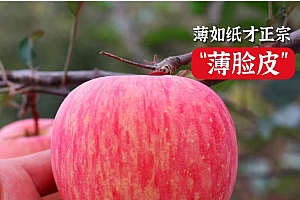 山东烟台红富士苹果栖霞苹果 产地直发 脆甜多汁带箱五斤皮薄肉厚