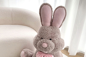 优赫兔子公仔毛绒玩具女孩床上玩偶娃娃小朋友睡觉抱枕送女友礼物