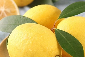 安岳柠檬果香16枚单果70-100g皮薄多汁酸爽清新应季水果酸甜采摘