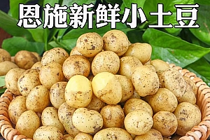 思楚恩施小土豆现挖新鲜黄心土豆3/5/9斤当季蔬菜迷你马铃薯洋芋