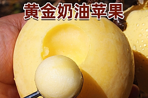山东烟台黄金奶油富士苹果新鲜水果霜降心丑苹果3斤9斤脆甜白苹果