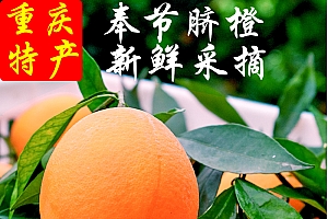 重庆奉节脐橙现摘孕妇新鲜橙子5斤产地发纽荷尔脆嫩细腻