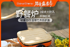 BakerStone户外炉具卡式炉便携式野餐炉家用烤肉炉新款分体式炉