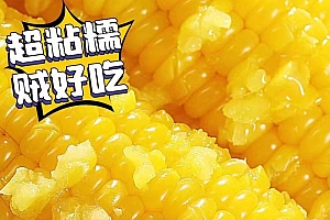 （3）【大果280g-350g/根】东北新黄糯玉米 10根低脂新鲜6斤以上