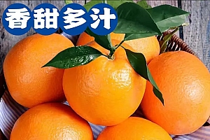 高山纽荷尔脐橙当季新鲜水果非赣南脐橙桔橘整箱爆甜橙5斤9斤