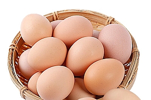 芮瑞农家土鸡蛋10枚  新鲜柴鸡蛋 单枚40±5g初生蛋
